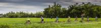 Rice paddy cycling from Hue to Hoi An, Vietnam |  <i>Richard I'Anson</i>