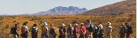 A group trekkers admiring the view along the Larapinta Trail |  <i>Peter Walton</i>