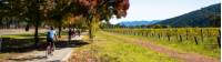 Cycling past a vineyard near Bright on the Murray to Mountains Rail Trail in Victoria |  <i>Josie Withers</i>