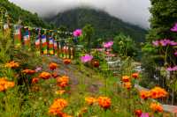 Monjo Eco-Comfort Camp in the Everest region |  Lachlan Gardiner